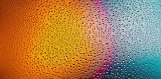 Czy można myć kota płynem do naczyń?