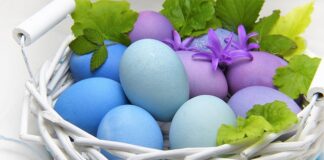 Jak najlepiej udekorować akwarium?