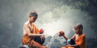 Jak stosować tabletki do czyszczenia zmywarek?