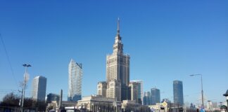 Czy w Polsce są patyczaki?