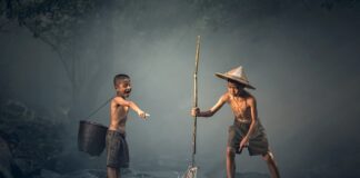 Czy ryby lubią słońce?