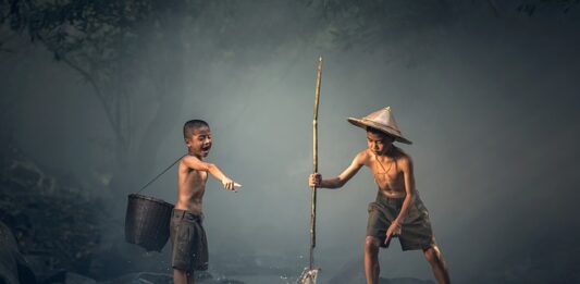 Czy ryby lubią słońce?