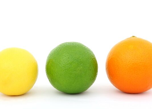 Jakie są rozmiary szelek dla psów?