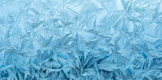 Ile stopni mrozu wytrzyma kot?