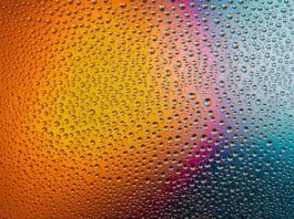 Czy psu trzeba myć zęby?