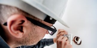 Jak znaleźć gniazdo kreta?