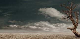 Czy suche chusteczki można wrzucać do toalety?