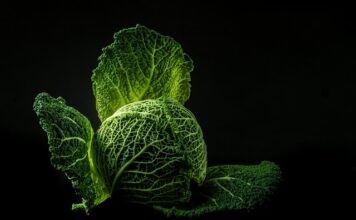 Co dodajemy do kapusty z grzybami?