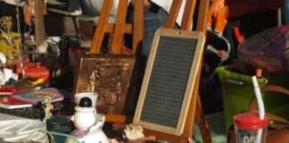 Po czym poznać że w domu są pchły?