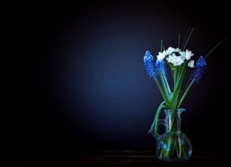 Ile waży transporter dla psa?