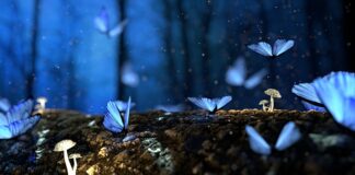 Jak długo trzymają grzyby?