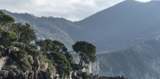 Ile kosztuje litr wody z SodaStream?