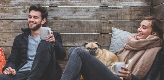 Czy pies może moczyć uszy podczas kąpieli?