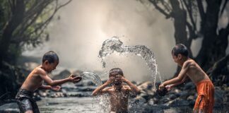 W jakiej temperaturze można kąpać kota?