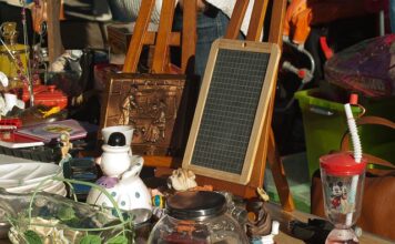 Czy człowiek może mieć pchły od kota?