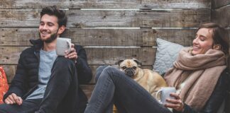 Co zrobić żeby pies nie bał się jeździć samochodem?