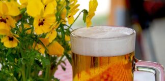 Jak założyć domowy ogródek z ziołami?